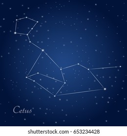 Cetus, whale, constellation at starry night sky