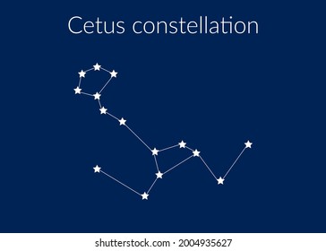 Cetus zodiac constellation sign with stars on blue background of cosmic sky. Vector illustration