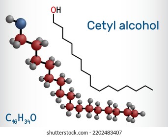 Cetyl alcohol, palmityl alcohol molecule. Used in cosmetic industry, as emulsifying agent in pharmaceutical preparations. Structural chemical formula, molecule model. Vector illustration