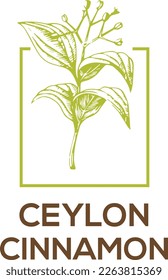 Ceylon Cinnamon Logo Concept vector illustration
