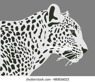 Ceylon leopard vector illustration. Side view, profile. Leopard head