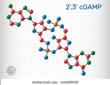C-GMP-AMP, 2',3' cGAMP, cyclic guanosine monophosphate-adenosine monophosphate molecule. Molecular model. Sheet of paper in a cage. Vector illustration