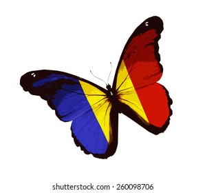 Chad flag butterfly, isolated on white