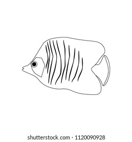 Chaetodon auriga Butterflyfish coloring pages
