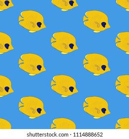 Chaetodon semilarvatus fish seamless pattern on the blue background. Vector illustration