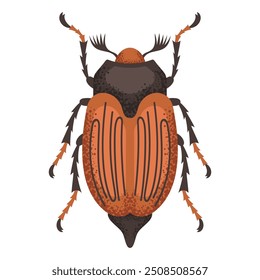 Fusca, inseto marrom. Inseto colorido. Espécie de inseto da natureza e biodiversidade. Ilustração plana do vetor do besouro.