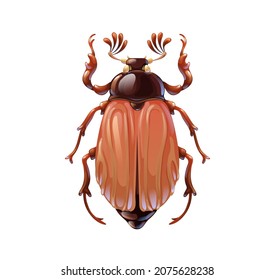 Chafer bug in cartoon style isolated on white background