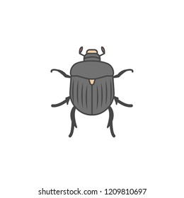 Chafer colored outline icon. One of the collection icons for websites, web design, mobile app