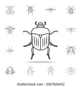 Chafer icon. Detailed set of insects line illustrations. Premium quality graphic design icon. One of the collection icons for websites, web design, mobile app on white background