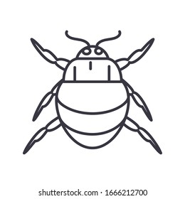 icono de insecto chafer sobre fondo blanco, estilo de detalle de línea, ilustración vectorial