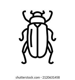 chafer insect line icon vector. chafer insect sign. isolated contour symbol black illustration