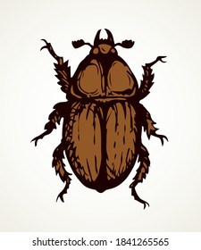 Chafer. Vector drawing of a big beetle