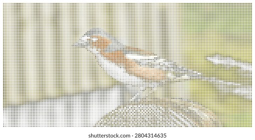 Chaffinch bird standing on textured surface in dotted halftone style. Small songbird, beautiful plumage, natural outdoor setting, wild creature.