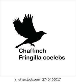 Chaffinch Silhouette Vector Illustration Flying Bird Isolated on White Background