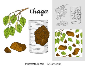 Chaga mushroom (Inonotus obliquus) set. Seamless patterns. Medicinal plant.