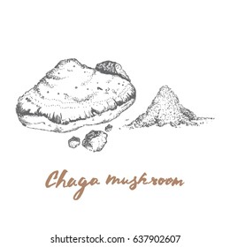 Chaga mushroom powder, popular healing healthy super food 
