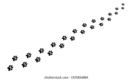 Chain footprints in snow large animal clipart. Black prints predatory beast with wide paws and sharp claws leaving vector pursuit.
