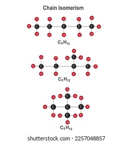 chain  isomerism in organic compound C5H12, pentane, vector illustration