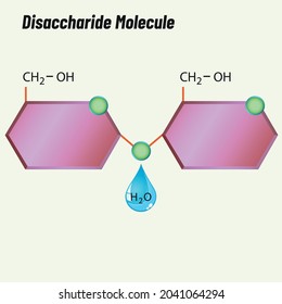 Chain molecule, Biology shape vector