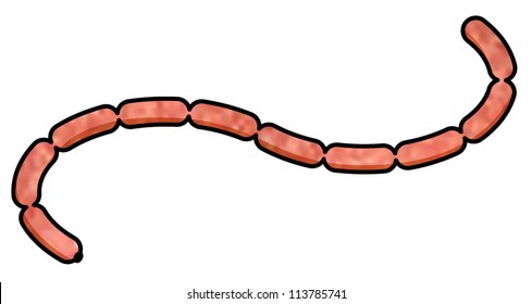 A chain of sausages.