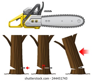 Chain Saw Safety