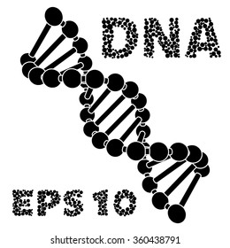 Chain vector DNA. 3D view of the simulation.