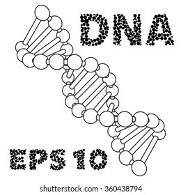 Chain vector DNA. 3D view of the simulation.