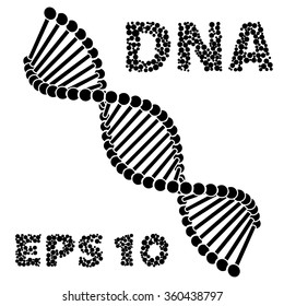 Chain vector DNA. 3D view of the simulation.