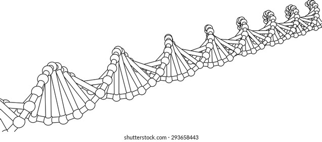 Chain vector DNA. The contours of the DNA.
