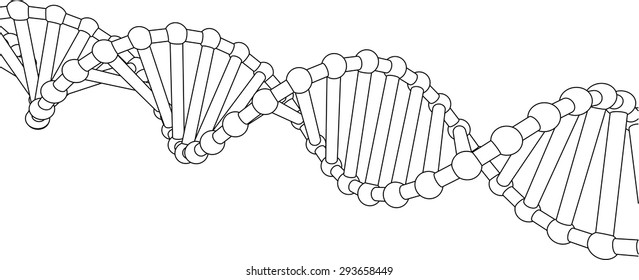 Chain vector DNA. The contours of the DNA.