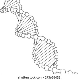 Chain vector DNA. The contours of the DNA.