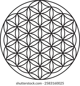 chakra sacred geometry element of life