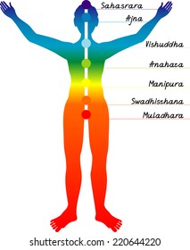 Chakra system