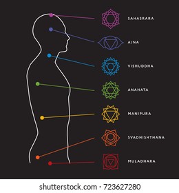 Chakra system of human body chart. Seven chakra symbols. Location information of each chakra. Chakra centers