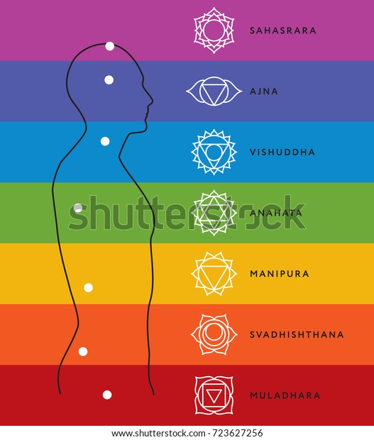 Chakra System Human Body Chart Seven Stock Vector Royalty Free 723627256