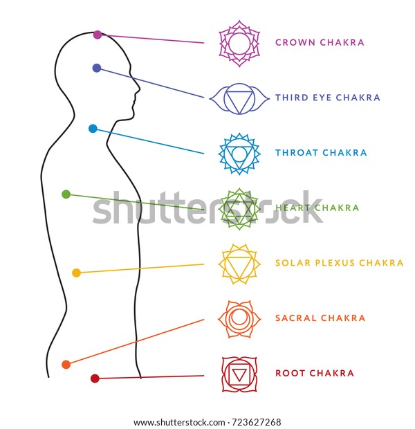 人体図のチャクラ系 7つのチャクラの記号 各チャクラの位置情報 チャクラの中心 のベクター画像素材 ロイヤリティフリー