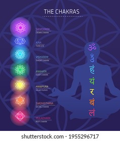 Chakras energy lotus pose human vector set