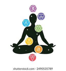 chakras energy and reiki isolated