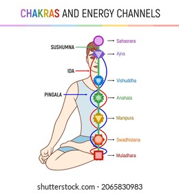 Chakras and the human energy system