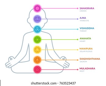 Chakras infographic chart in simple and modern flat style. Male body silhouette in lotus pose. Yoga and Ayurveda concept vector illustration. Captions with chakra names on separate layer.