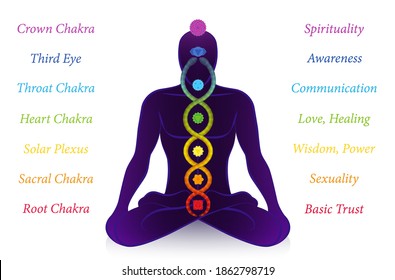 Chakras Kundalini Serpent Names Meanings Meditating Stock Vector ...