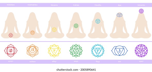 Chakras: muladhara, swadhisthana, manipura, anahata, vishuddha, ajna, sahasrara. Símbolo de línea del vector. Las siluetas de la mujer en una pose de loto. Icono sacro. Medición