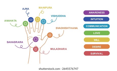 Chakras on a hand palm infographic vector illustration with names, titles, line art symbol icons. Chakra system