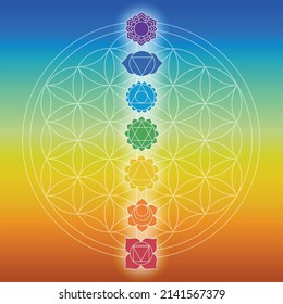 Chakras Over Flower Life Symbol Symbols Stock Vector (Royalty Free ...