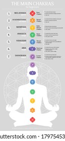 Chakras Principal 7 infographic design vector elements simple information about energy centers