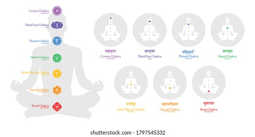 Chakras Principal 7 infographic design vector elements simple information about energy centers