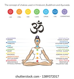 Chakras set of human body - vector drawing Sahasrara, Ajna, Vishuddha, Anahata, Manipura, Svadhisthana, Muladhara with text about his glands. Used in alternative medicine - Ayurveda, Yoga, Hinduism