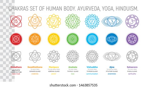 Chakras set of human body - vector drawing Sahasrara, Ajna, Vishuddha, Anahata, Manipura, Svadhisthana, Muladhara with text about his glands. Used in alternative medicine - Ayurveda, also in Hinduism 