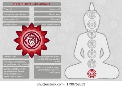 Chakras symbols with description of meanings infographic
