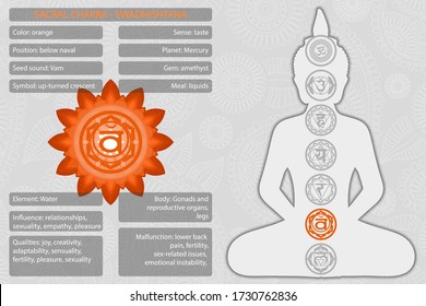 Chakras symbols with description of meanings infographic